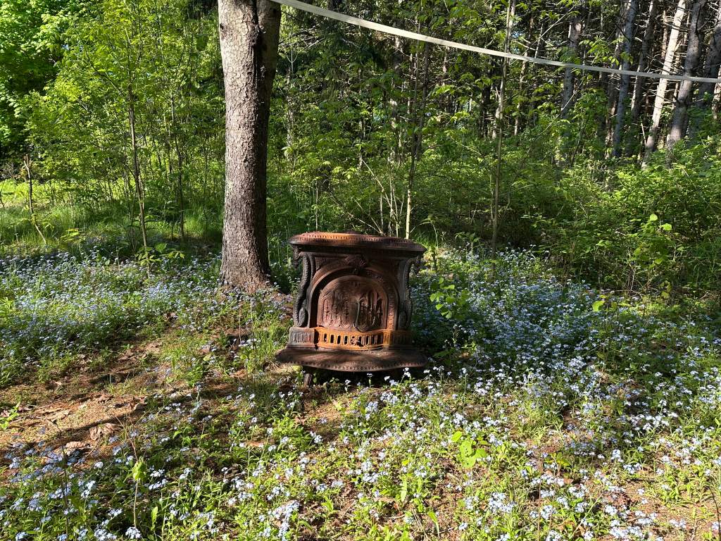 Bring Dr. Dym a Duck